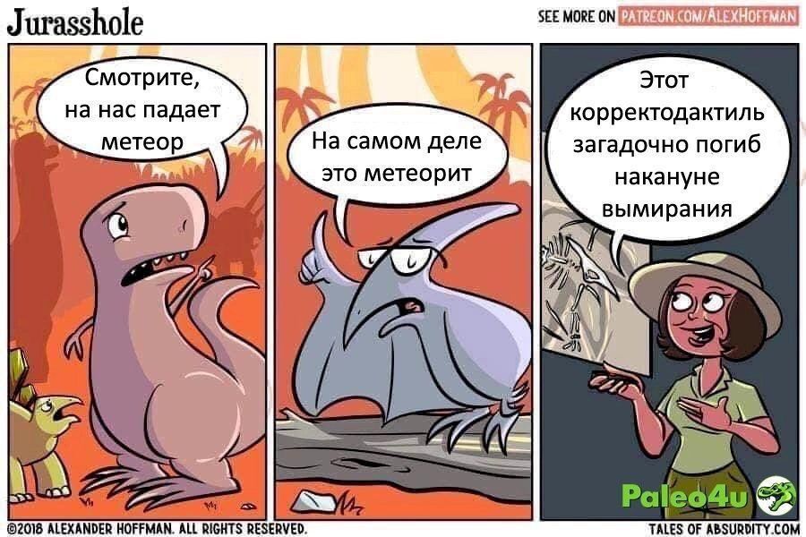 Смотрите, на нас падает метеор. На самом деле это метеорит. Этот корректодактиль загадочно погиб накануне вымирания.