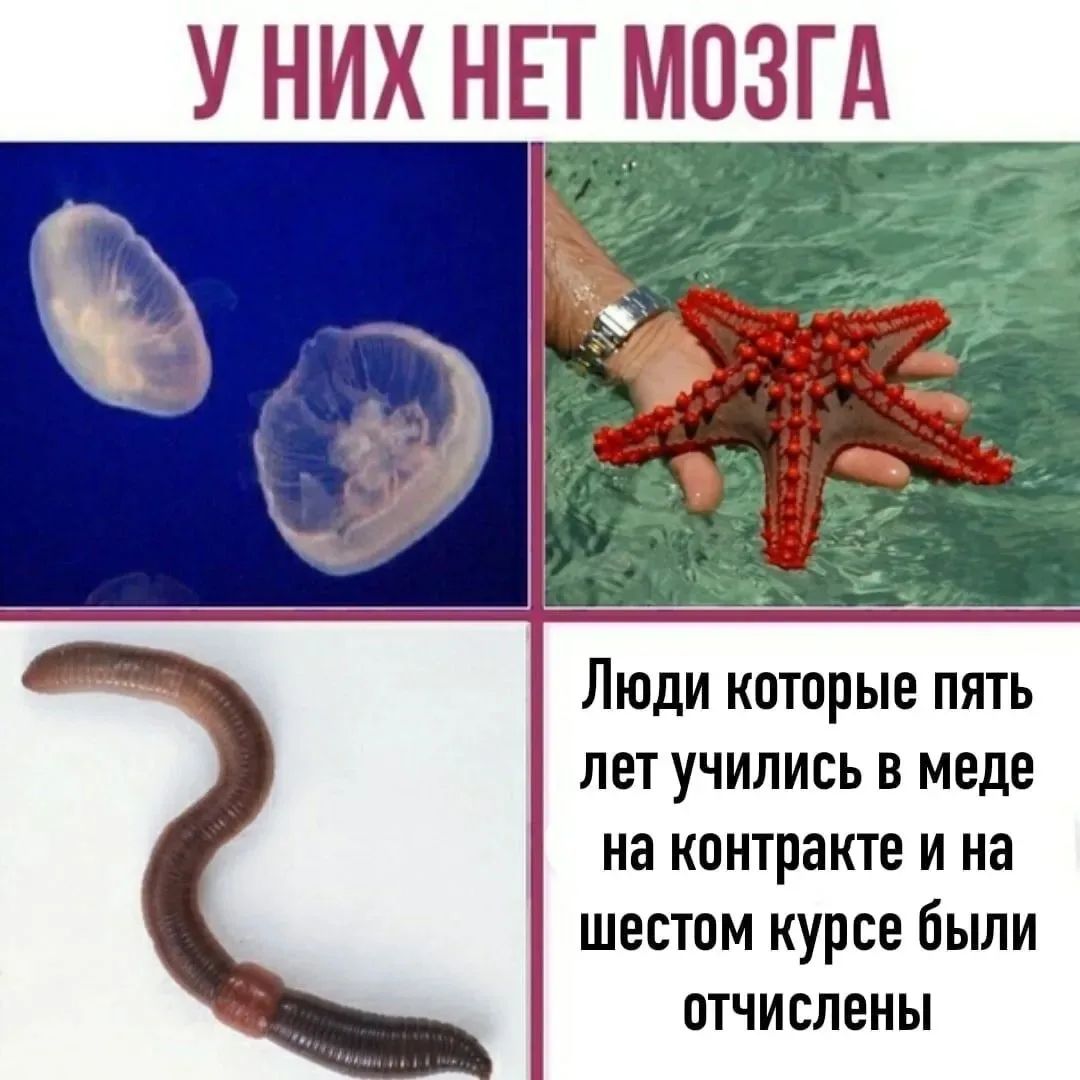 У НИХ НЕТ МОЗГА Люди которые пять лет учились в меде на контракте и на шестом курсе были отчислены