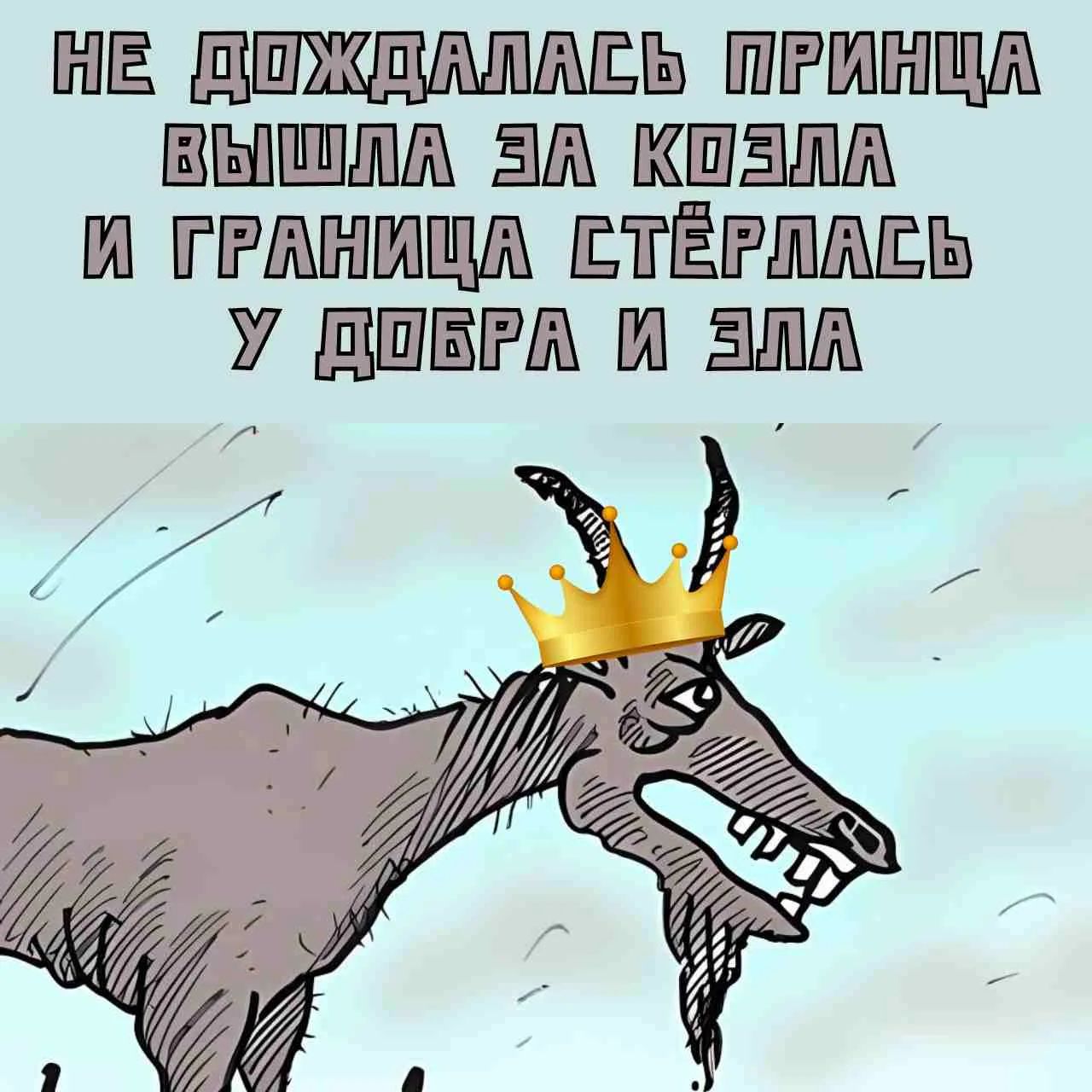 НЕ ДОЖДАЛАСЬ ПРИНЦА ВЫШЛА ЗА КОЗЛА И ГРАНИЦА СТЁРЛАСЬ У ДОБРА И ЗЛА