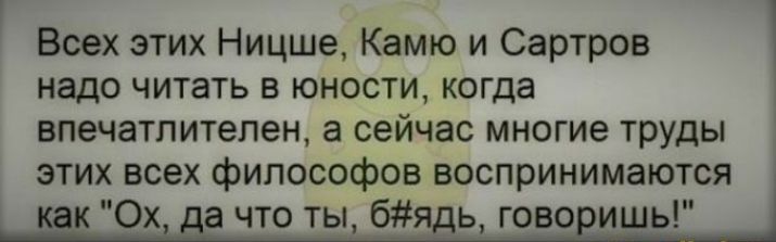 Всех этих Ницше, Камю и Сартров надо читать в юности, когда впечатлителен, а сейчас многие труды этих всех философов воспринимаются как 