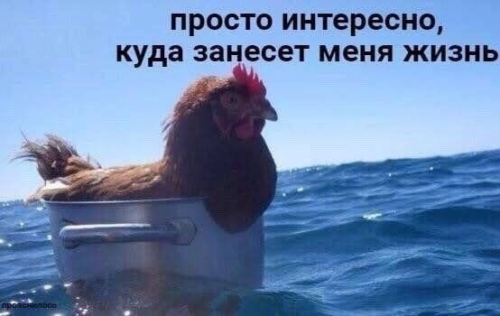 просто интересно, куда занесет меня жизнь