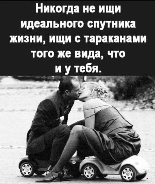 Никогда не ищи идеального спутника жизни, ищи с тараканами того же вида, что и у тебя.