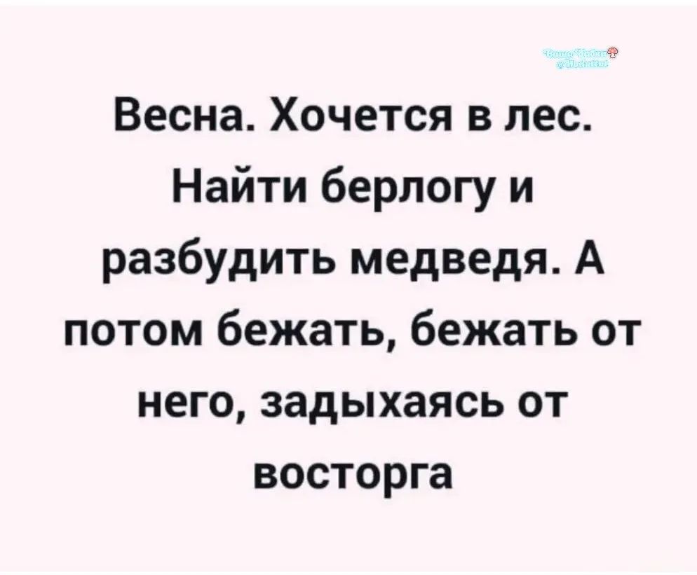 Весна. Хочется в лес. Найти берлогу и разбудить медведя. А потом бежать, бежать от него, задыхаясь от восторга