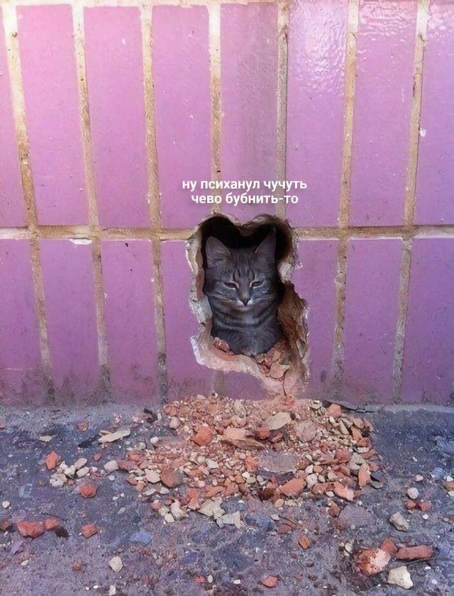 ну психанул чучуть чево бубнить-то