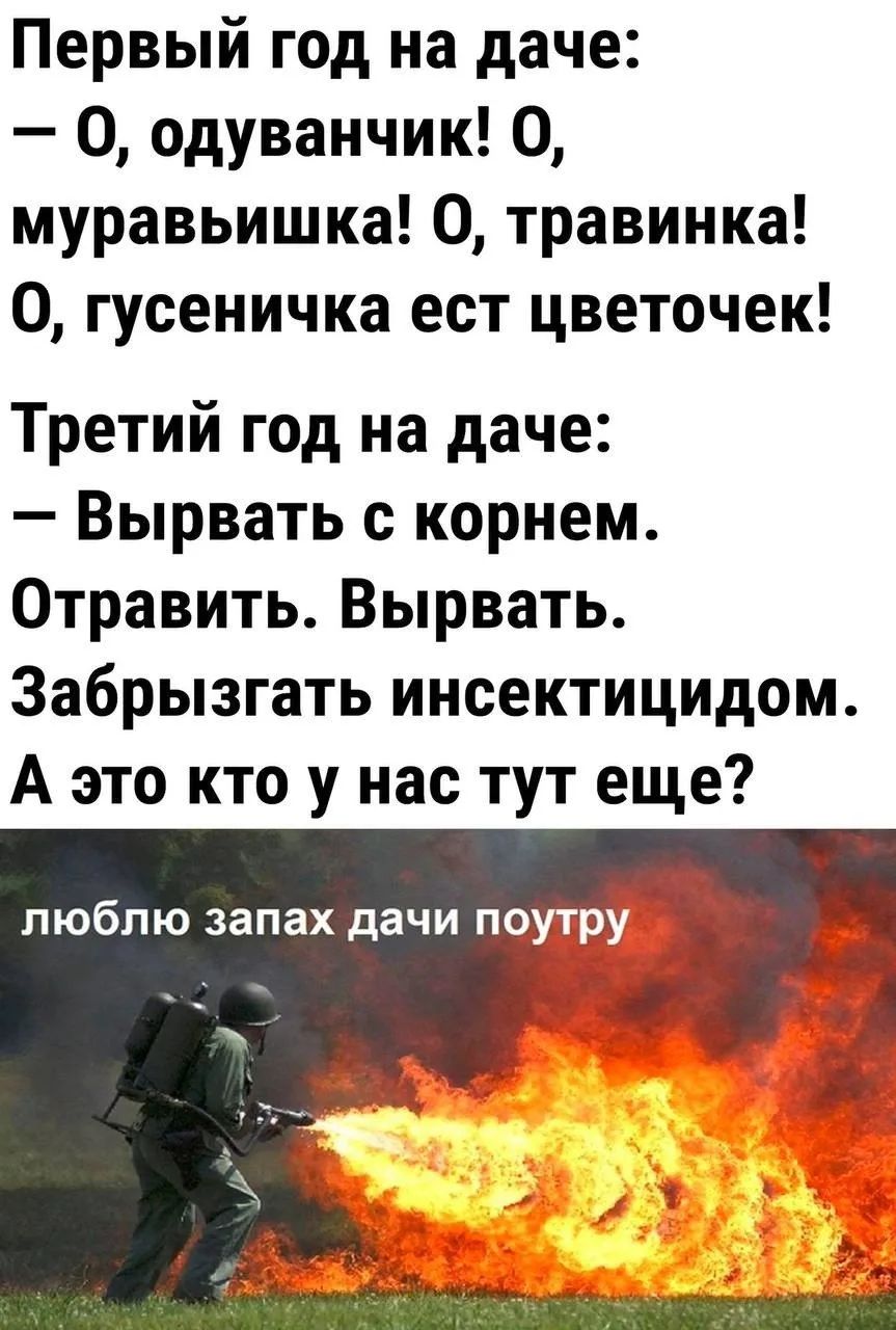 Первый год на даче: – О, одуванчик! О, муравьишка! О, травинка! О, гусеничка ест цветочек! Третий год на даче: – Вырвать с корнем. Отравить. Вырвать. Забрызгать инсектицидом. А это кто у нас тут еще? люблю запах дачи поутру