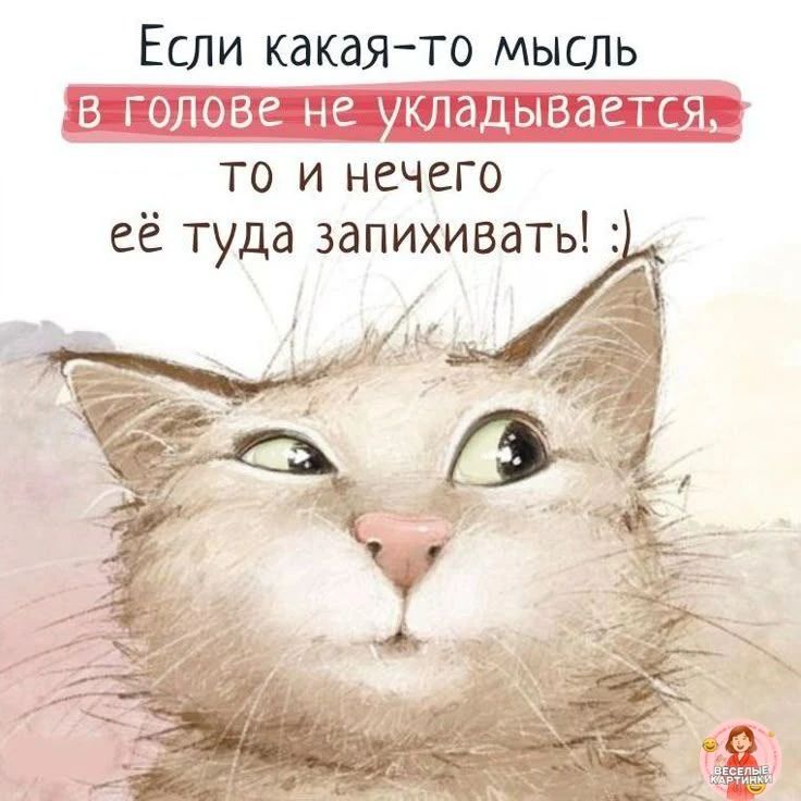 Если какая-то мысль в голове не укладывается, то и нечего её туда запихивать! :)