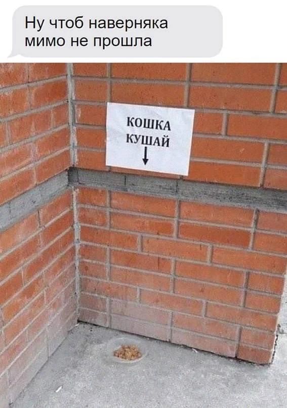 Ну чтоб наверняка мимо не прошла. КОШКА КУШАЙ