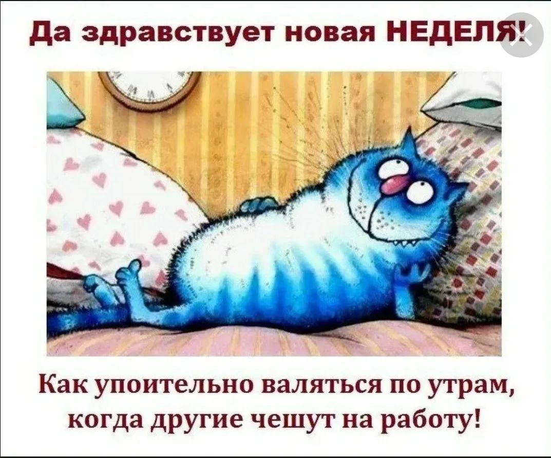 Да здравствует новая НЕДЕЛЯ! Как упоительно валяться по утрам, когда другие чешут на работу!