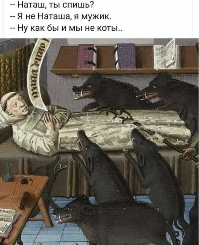 — Наташ, ты спишь? — Я не Наташа, я мужик. — Ну как бы и мы не коты..