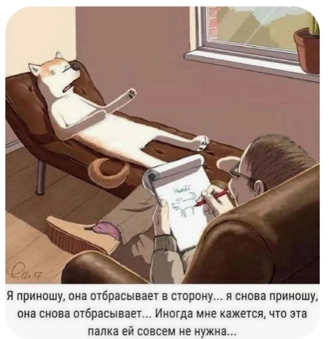 Я приношу, она отбрасывает в сторону... я снова приношу, она снова отбрасывает... Иногда мне кажется, что эта палка ей совсем не нужна...