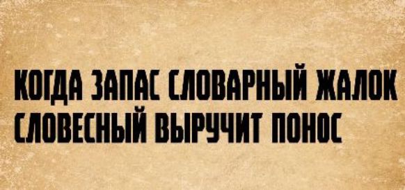 КОГДА ЗАПАС СЛОВАРНЫЙ ЖАЛОК СЛОВЕСНЫЙ ВЫРУЧИТ ПОНОС