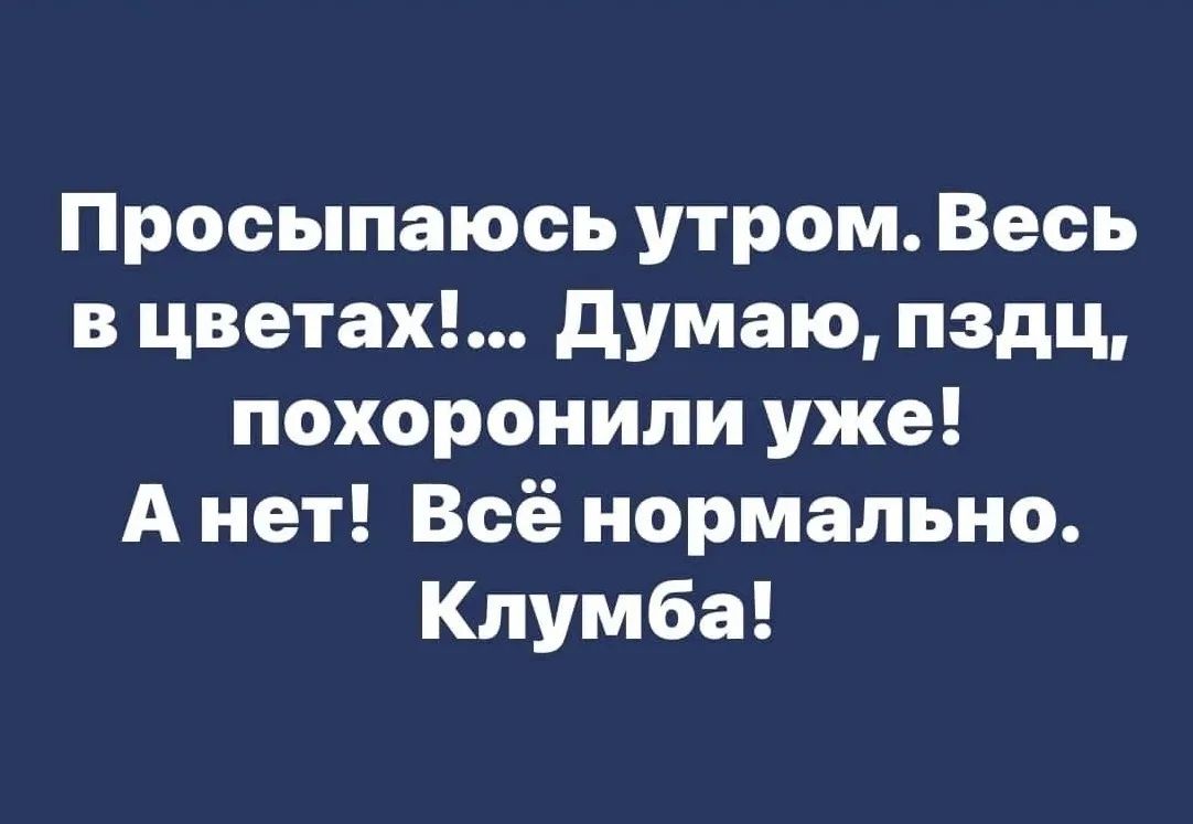 Просыпаюсь утром. Весь в цветах!... Думаю, пздц, похоронили уже! А нет! Всё нормально. Клумба!