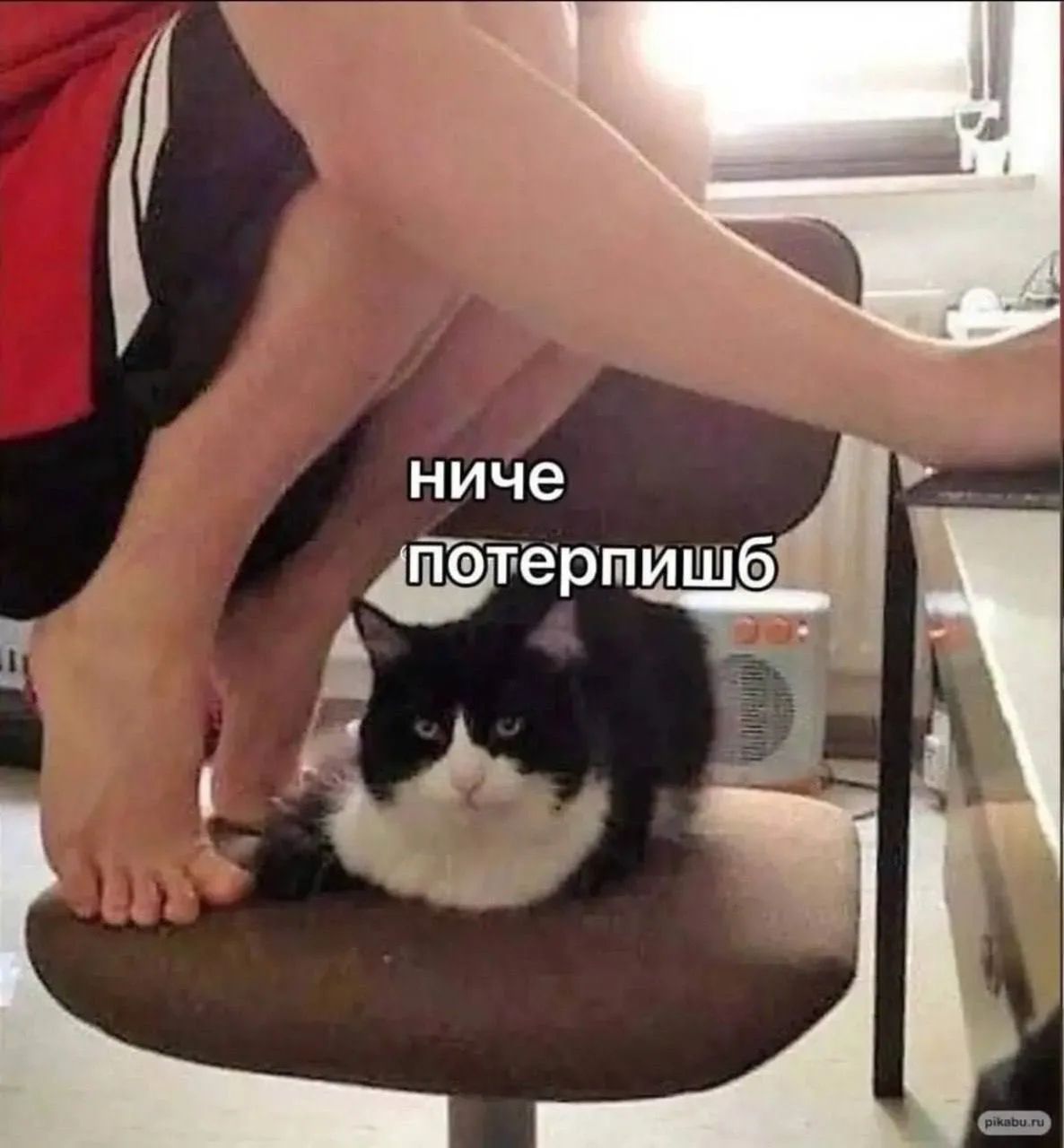 ниче потерпишь