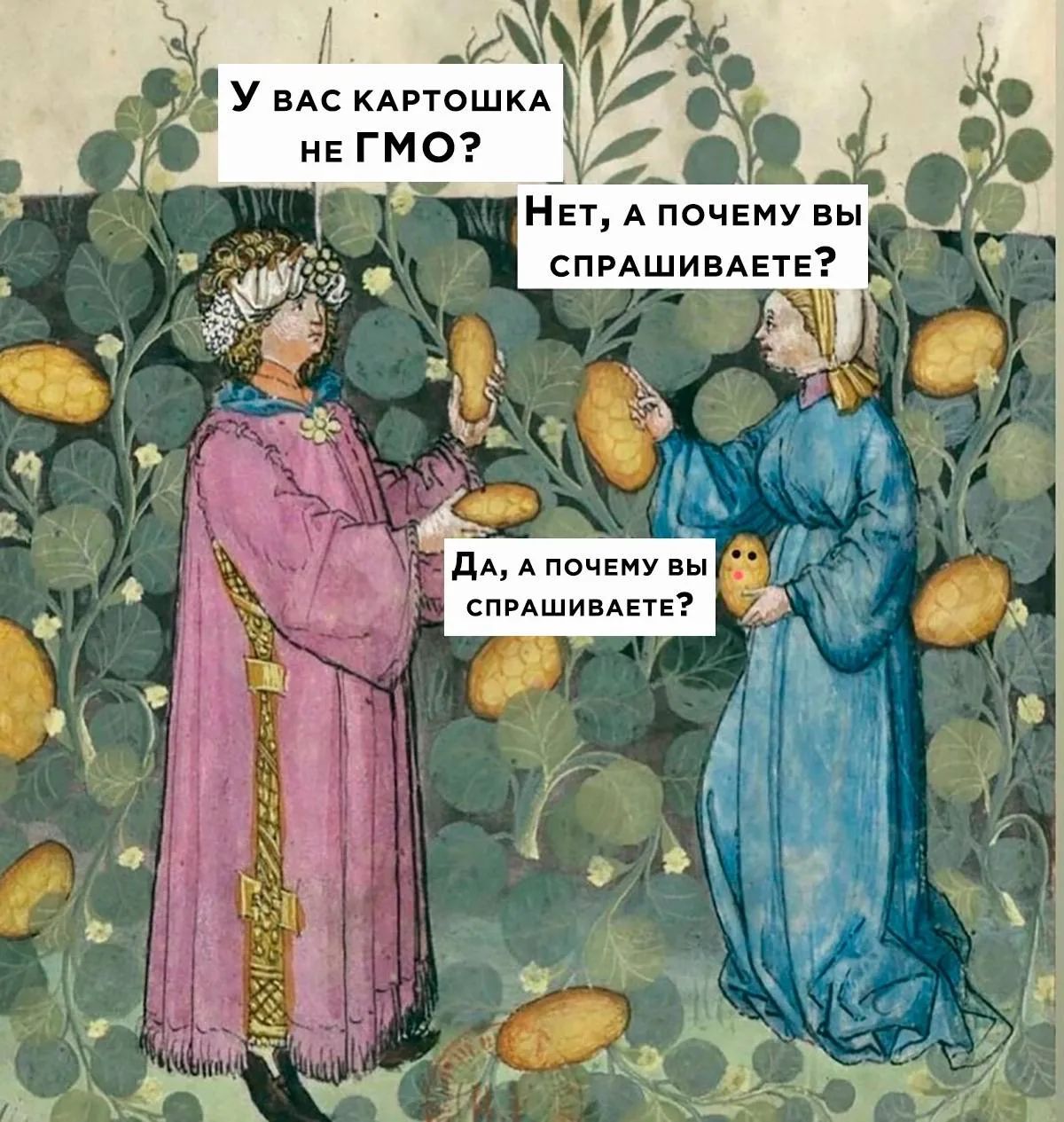 У ВАС КАРТОШКА НЕ ГМО? НЕТ, А ПОЧЕМУ ВЫ СПРАШИВАЕТЕ? ДА, А ПОЧЕМУ ВЫ СПРАШИВАЕТЕ?