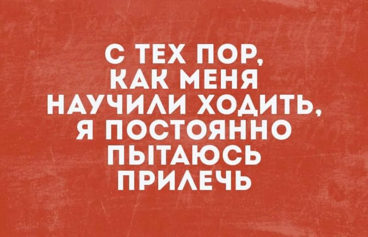 С ТЕХ ПОР, КАК МЕНЯ НАУЧИЛИ ХОДИТЬ, Я ПОСТОЯННО ПЫТАЮСЬ ПРИЛЕЧЬ
