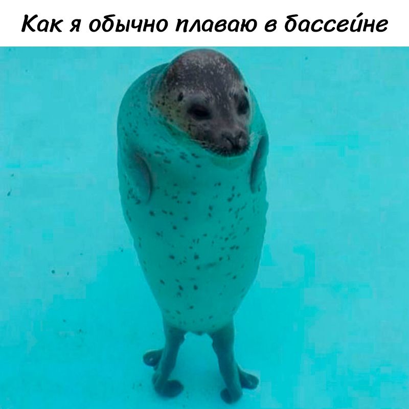 Как я обычно плаваю в бассейне