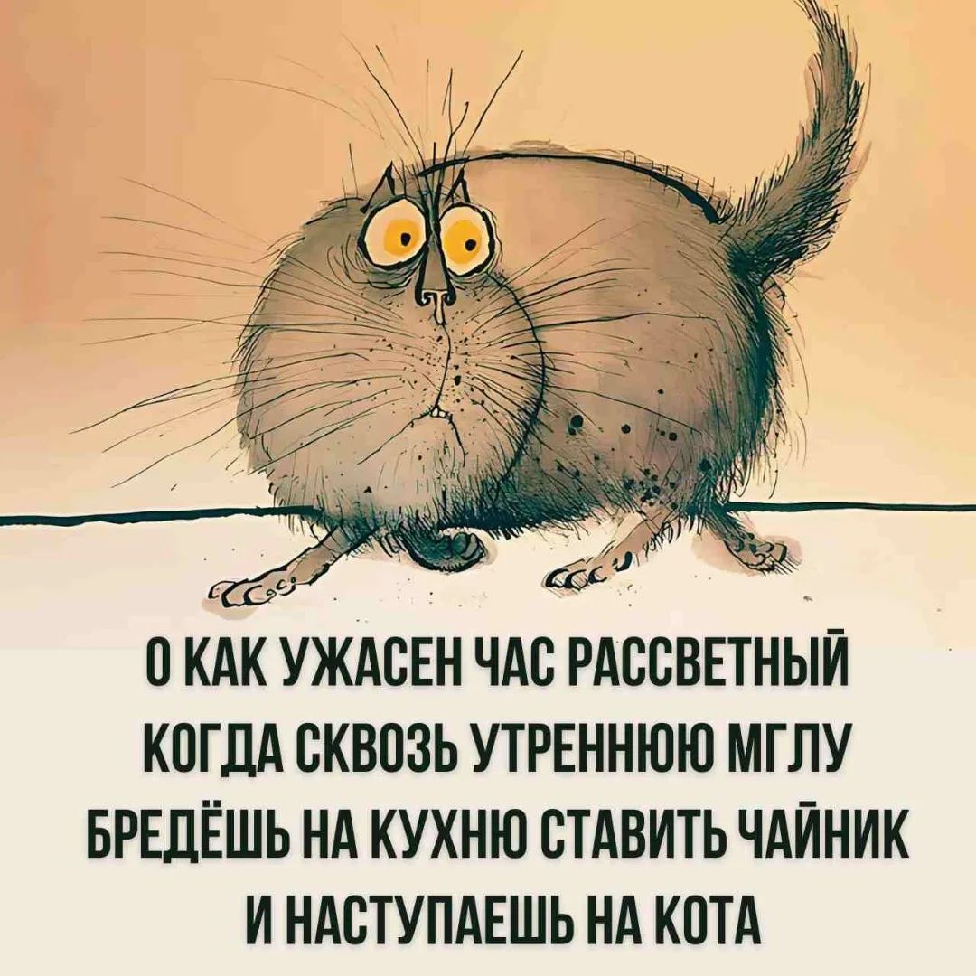О КАК УЖАСЕН ЧАС РАССВЕТНЫЙ КОГДА СКВОЗЬ УТРЕННЮЮ МГЛУ БРЕДЁШЬ НА КУХНЮ СТАВИТЬ ЧАЙНИК И НАСТУПАЕШЬ НА КОТА