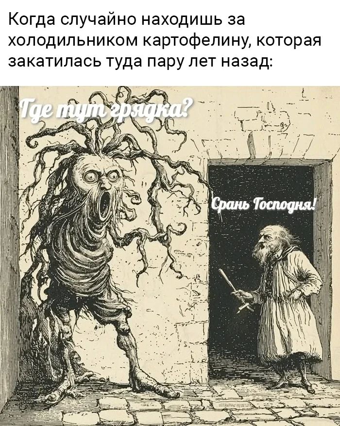 Когда случайно находишь за холодильником картофелину, которая закатилась туда пару лет назад: Где тут грядка? Срань Господня!