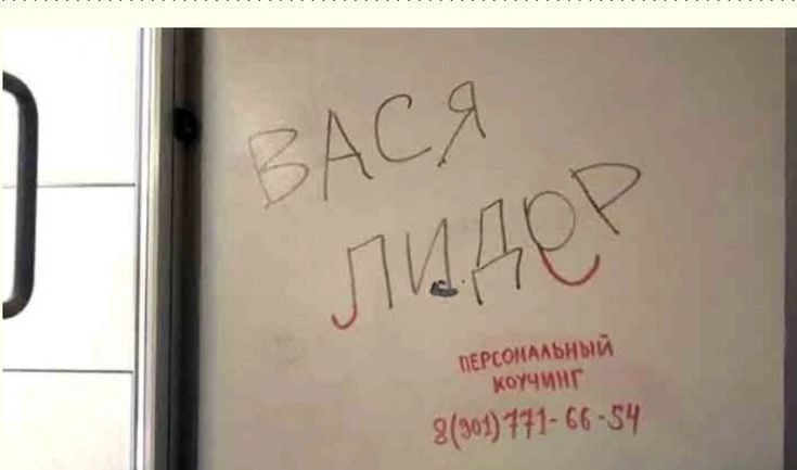 ВАСЯ ПИДОР ПЕРСОНАЛЬНЫЙ КОУЧИНГ 8(301) 771-66-54