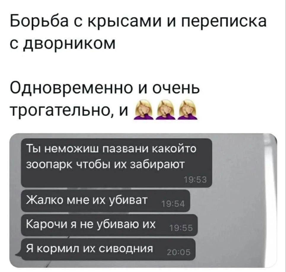 Борьба с крысами и переписка с дворником. Одновременно и очень трогательно, и 🤦‍♀️🤦‍♀️🤦‍♀️. Ты не можешь позвонить в какой-то зоопарк, чтобы их забрали. Жалко мне их убивать. Короче, я не убиваю их. Я кормил их сегодня.