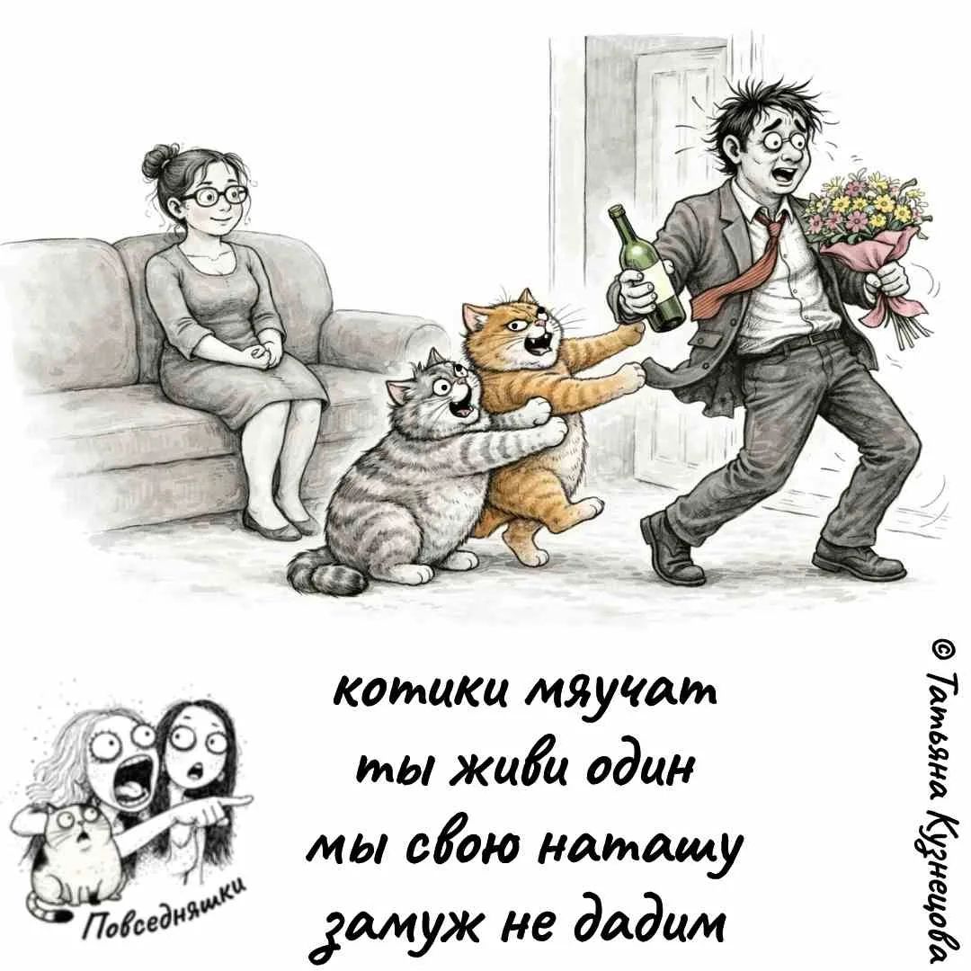 котики мяучат ты живи один мы свою наташу замуж не дадим