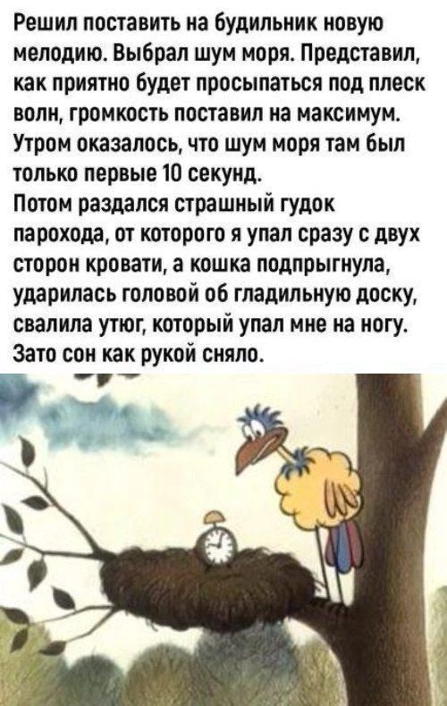 Решил поставить на будильник новую мелодию. Выбрал шум моря. Представил, как приятно будет просыпаться под плеск волн, громкость поставил на максимум. Утром оказалось, что шум моря там был только первые 10 секунд. Потом раздался страшный гудок парохода, от которого я упал сразу с двух сторон кровати, а кошка подпрыгнула, ударилась головой об