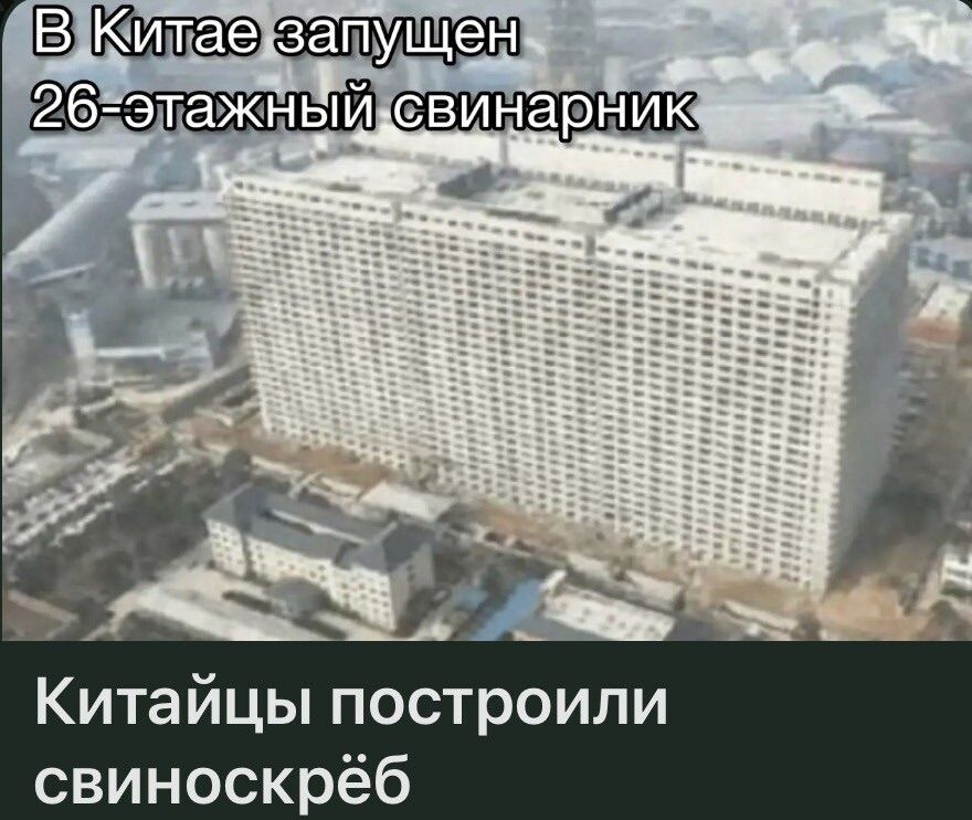 В Китае запущен 26-этажный свинарник Китайцы построили свиноскрёб