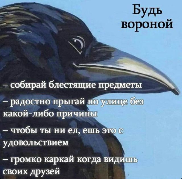Будь вороной - собирай блестящие предметы - радостно прыгай по улице без какой-либо причины - чтобы ты ни ел, ешь это с удовольствием - громко каркай когда видишь своих друзей