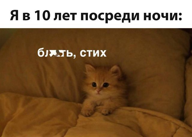 Я в 10 лет посреди ночи: бл**ть, стих