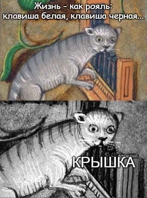 Жизнь - как рояль: клавиша белая, клавиша черная... КРЫШКА