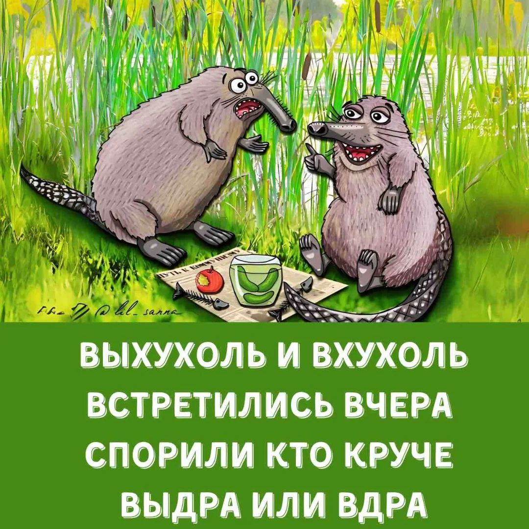 ВЫХУХОЛЬ И ВХУХОЛЬ ВСТРЕТИЛИСЬ ВЧЕРА СПОРИЛИ КТО КРУЧЕ ВЫДРА ИЛИ ВДРА