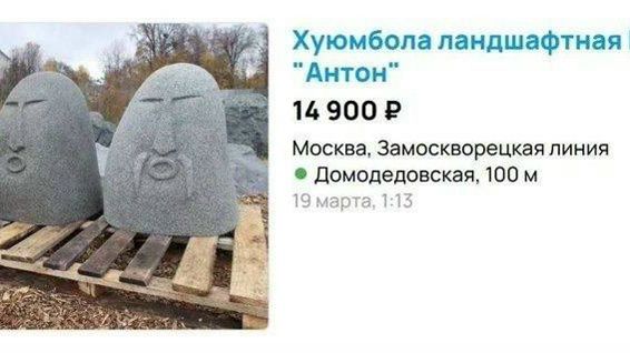 Хуюмбола ландшафтная 