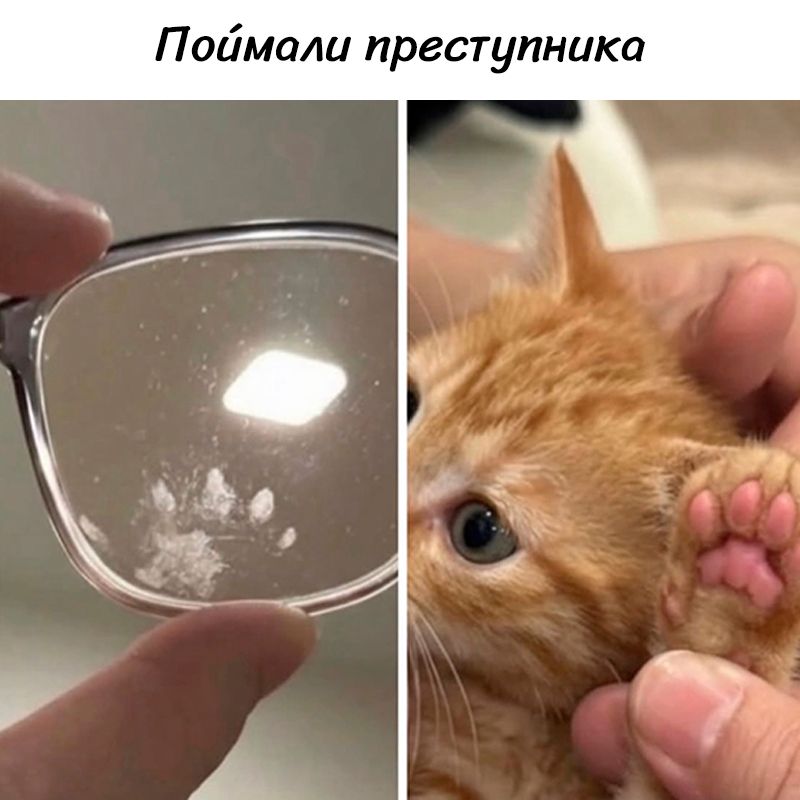 Поймали преступника. На очках видны отпечатки лап, а рядом показан рыжий котенок с розовыми подушечками лап.
