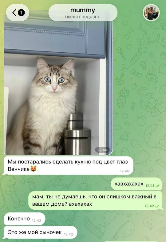 mummy был(а) недавно Мы постарались сделать кухню под цвет глаз Венчика 😍 хавхахахах мам, ты не думаешь, что он слишком важный в вашем доме? ахахахах Конечно Это же мой сыночек