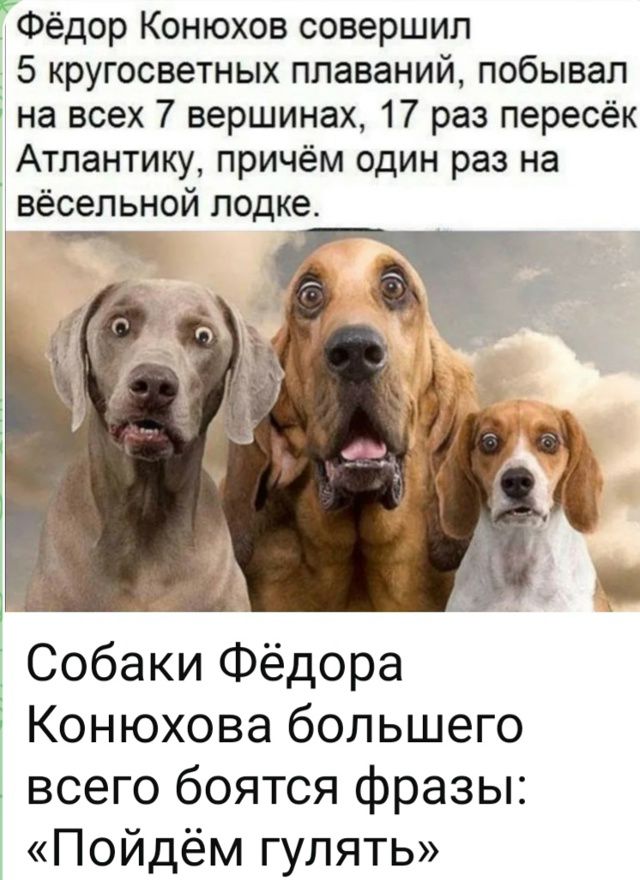 Фёдор Конюхов совершил 5 кругосветных плаваний, побывал на всех 7 вершинах, 17 раз пересёк Атлантику, причём один раз на вёсельной лодке. Собаки Фёдора Конюхова больше всего боятся фразы: «Пойдём гулять»