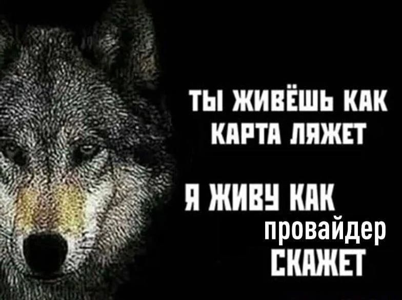 ТЫ ЖИВЁШЬ КАК КАРТА ЛЯЖЕТ Я ЖИВУ КАК провайдер СКАЖЕТ