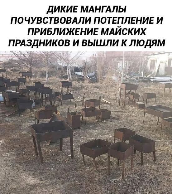 ДИКИЕ МАНГАЛЫ ПОЧУВСТВОВАЛИ ПОТЕПЛЕНИЕ И ПРИБЛИЖЕНИЕ МАЙСКИХ ПРАЗДНИКОВ И ВЫШЛИ К ЛЮДЯМ