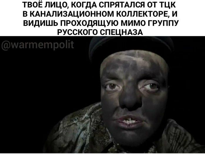 ТВОЁ ЛИЦО, КОГДА СПРЯТАЛСЯ ОТ ТЦК В КАНАЛИЗАЦИОННОМ КОЛЛЕКТОРЕ, И ВИДИШЬ ПРОХОДЯЩУЮ МИМО ГРУППУ РУССКОГО СПЕЦНАЗА