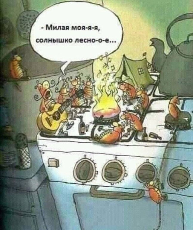 Милая моя-я-я, солнышко лесно-о-е...