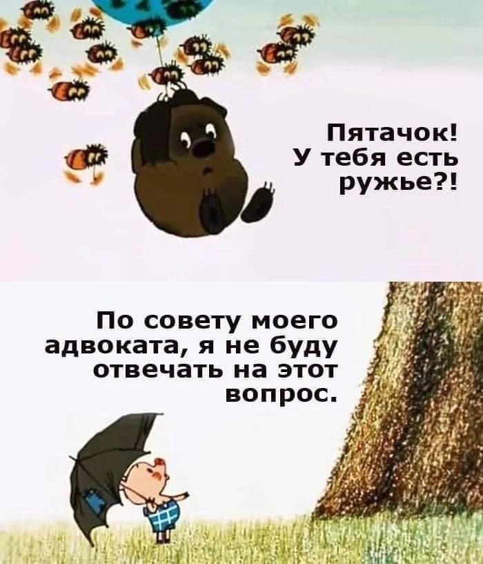 Пятачок! У тебя есть ружье?! По совету моего адвоката, я не буду отвечать на этот вопрос.