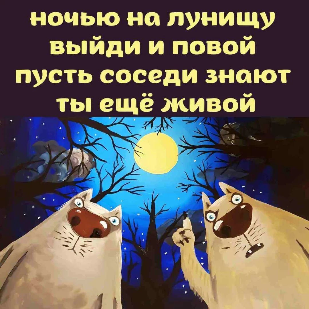ночью на луницу выйди и повой пусть соседи знают ты ещё живой