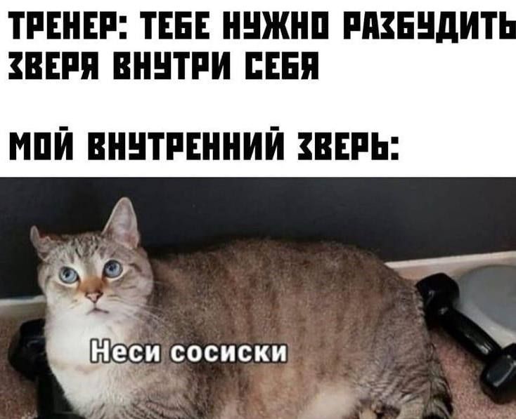 ТРЕНЕР: ТЕБЕ НУЖНО РАЗБУДИТЬ ЗВЕРЯ ВНУТРИ СЕБЯ МОЙ ВНУТРЕННИЙ ЗВЕРЬ: Неси сосиски