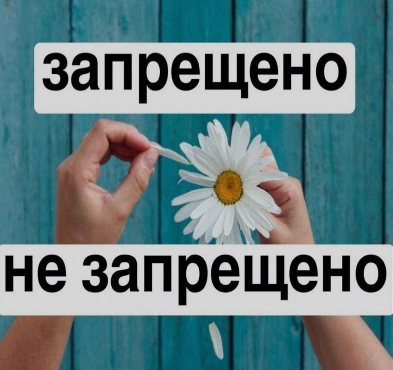 запрещено не запрещено