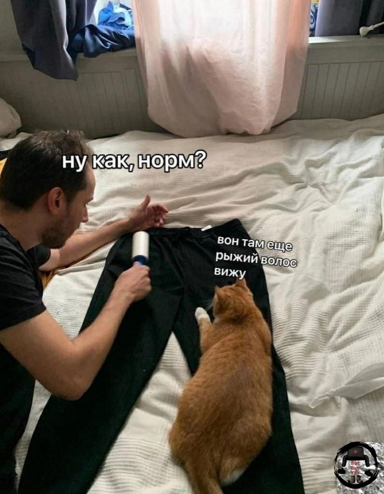 ну как, норм? вон там еще рыжий волос вижу