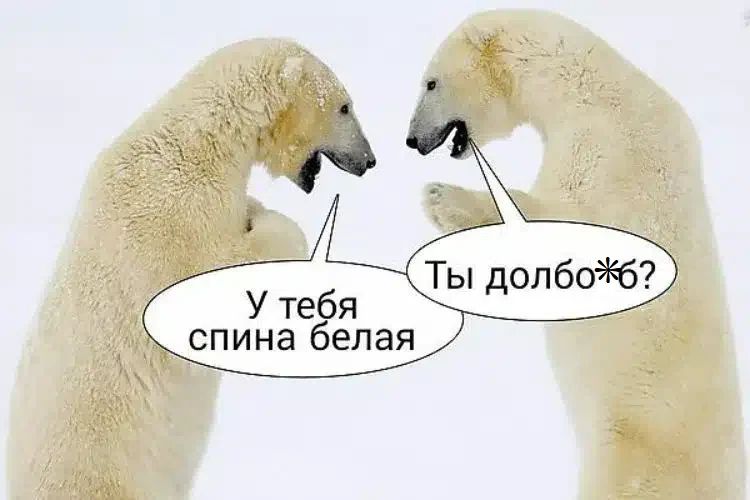 У тебя спина белая. Ты долбо*б?