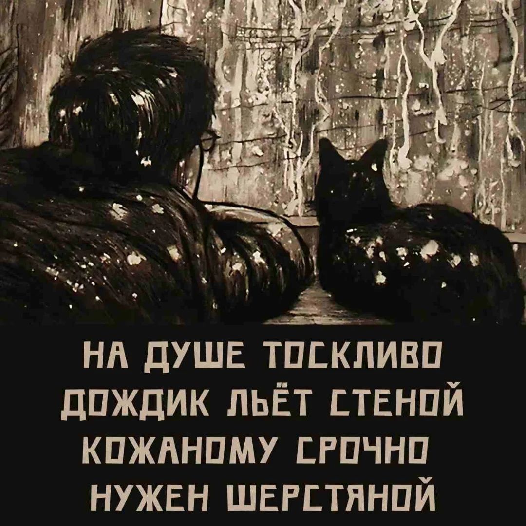 НА ДУШЕ ТОСКЛИВО ДОЖДИК ЛЬЁТ СТЕНОЙ КОЖАНОМУ СРОЧНО НУЖЕН ШЕРСТЯНОЙ