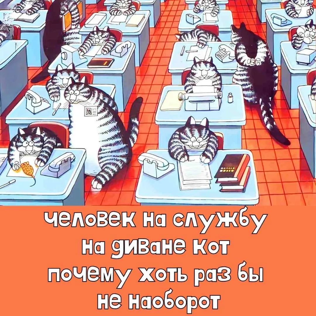 человек на службу на диване кот почему хоть раз бы не наоборот