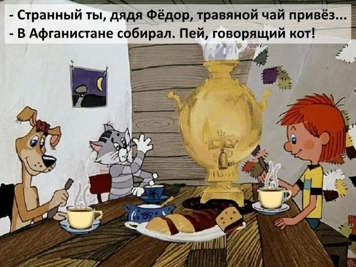 - Странный ты, дядя Фёдор, травяной чай привёз... - В Афганистане собирал. Пей, говорящий кот!
