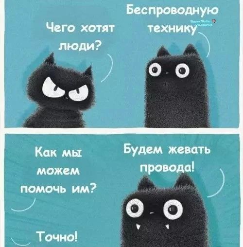 Чего хотят люди? Беспроводную технику. Как мы можем помочь им? Будем жевать провода! Точно!