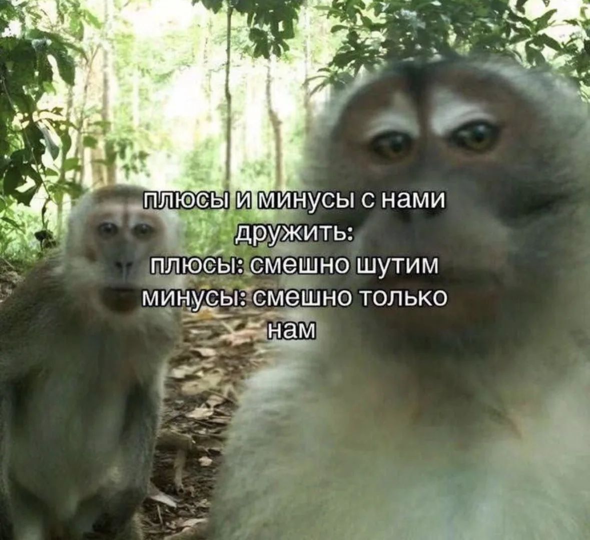 Плюсы и минусы с нами дружить: плюсы: смешно шутим минусы: смешно только нам